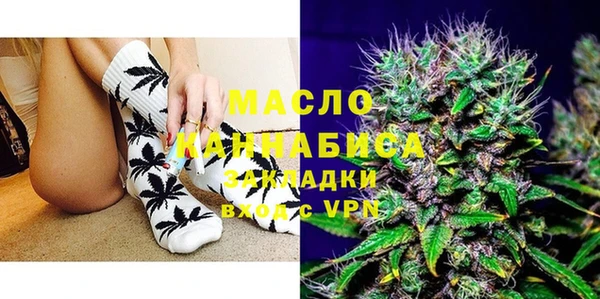 сатива Беломорск