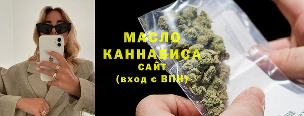 молекула духа Бородино