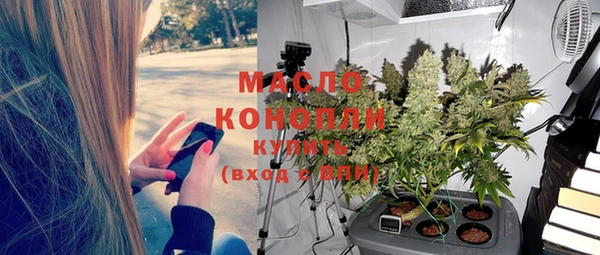 молекула духа Бородино
