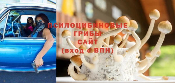 apvp Белокуриха