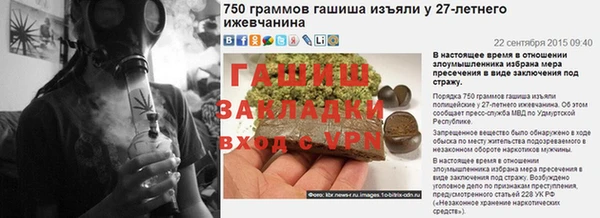 сатива Беломорск
