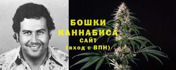 apvp Белокуриха