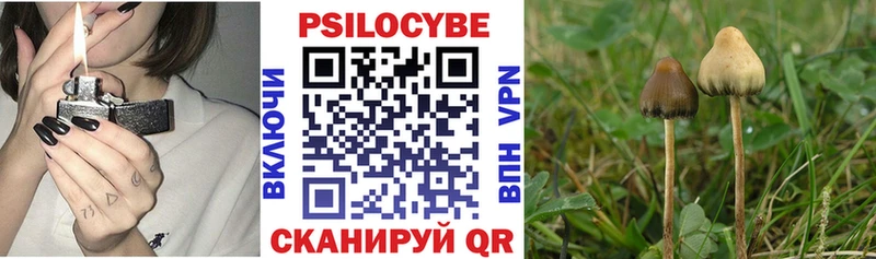 Галлюциногенные грибы Psilocybine cubensis  omg маркетплейс  даркнет клад  Фрязино 